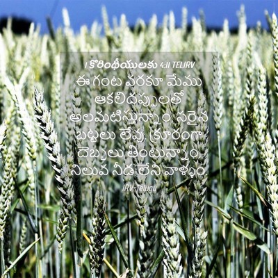 Picture 04 - 1 కొరింథీయులకు 4:11 TELIRV - ఈ గంట వరకూ మేము - Bible Verse Picture