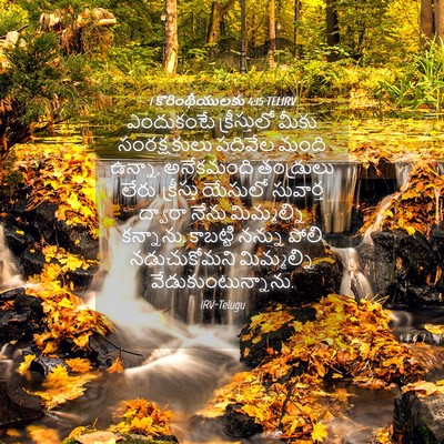 Picture 04 - 1 కొరింథీయులకు 4:15 TELIRV - ఎందుకంటే - Bible Verse Picture