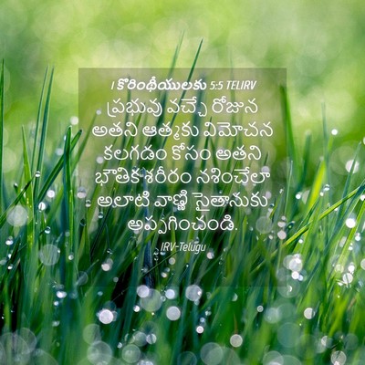 Picture 04 - 1 కొరింథీయులకు 5:5 TELIRV - ప్రభువు వచ్చే - Bible Verse Picture