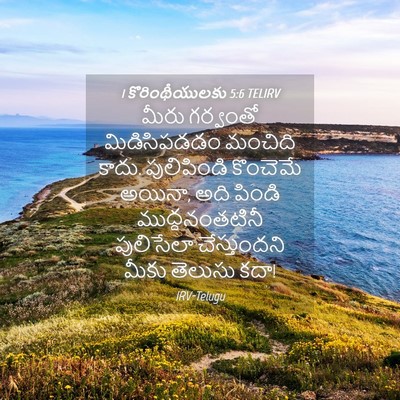 Picture 04 - 1 కొరింథీయులకు 5:6 TELIRV - మీరు గర్వంతో - Bible Verse Picture