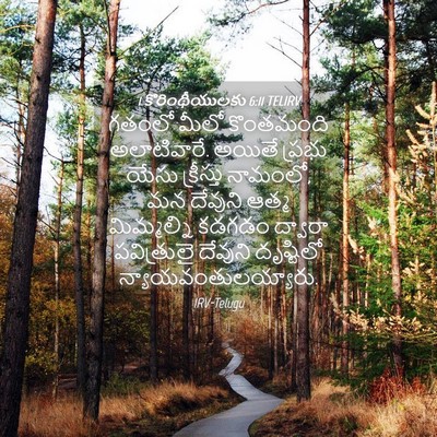 Picture 04 - 1 కొరింథీయులకు 6:11 TELIRV - గతంలో మీలో - Bible Verse Picture