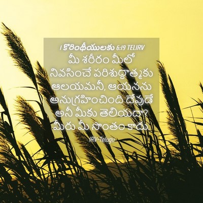 Picture 04 - 1 కొరింథీయులకు 6:19 TELIRV - మీ శరీరం మీలో - Bible Verse Picture