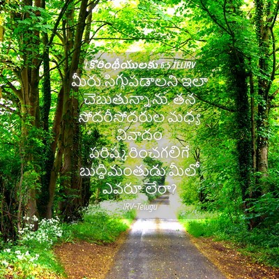 Picture 04 - 1 కొరింథీయులకు 6:5 TELIRV - మీరు సిగ్గుపడాలని - Bible Verse Picture