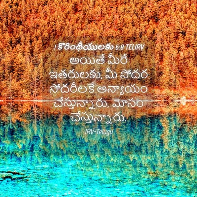 Picture 04 - 1 కొరింథీయులకు 6:8 TELIRV - అయితే మీరే - Bible Verse Picture