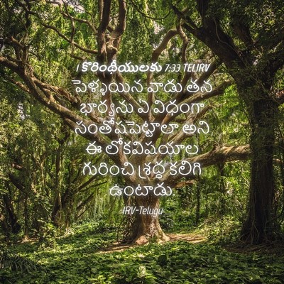 Picture 04 - 1 కొరింథీయులకు 7:33 TELIRV - పెళ్ళయిన వాడు తన - Bible Verse Picture