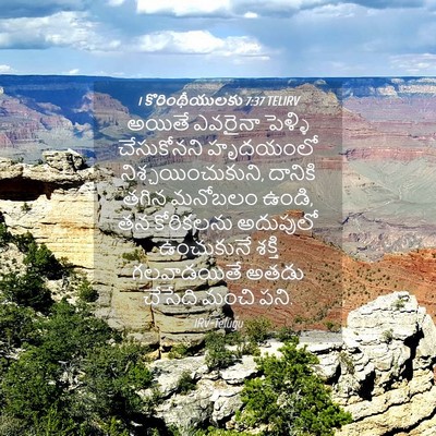 Picture 04 - 1 కొరింథీయులకు 7:37 TELIRV - అయితే ఎవరైనా - Bible Verse Picture