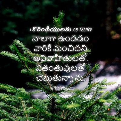 Picture 04 - 1 కొరింథీయులకు 7:8 TELIRV - నాలాగా ఉండడం - Bible Verse Picture
