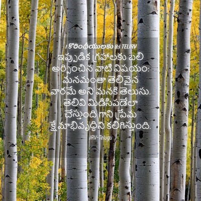 Picture 04 - 1 కొరింథీయులకు 8:1 TELIRV - ఇప్పుడిక గ్రహాలకు - Bible Verse Picture
