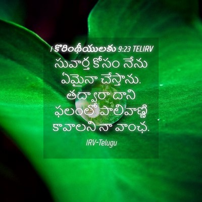 Picture 04 - 1 కొరింథీయులకు 9:23 TELIRV - సువార్త కోసం నేను - Bible Verse Picture