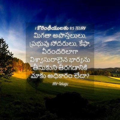Picture 04 - 1 కొరింథీయులకు 9:5 TELIRV - మిగతా అపొస్తలులు, - Bible Verse Picture