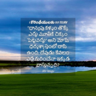 Picture 04 - 1 కొరింథీయులకు 9:9 TELIRV - “ధాన్యపు కళ్ళం - Bible Verse Picture