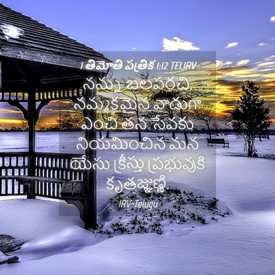 Picture 04 - 1 తిమోతి పత్రిక 1:12 TELIRV - నన్ను బలపరచి, - Bible Verse Picture