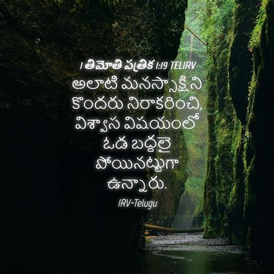 Picture 04 - 1 తిమోతి పత్రిక 1:19 TELIRV - అలాటి - Bible Verse Picture