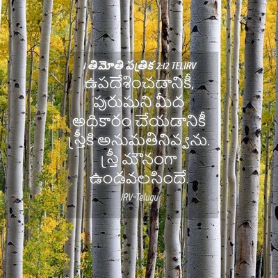 Picture 04 - 1 తిమోతి పత్రిక 2:12 TELIRV - ఉపదేశించడానికీ, - Bible Verse Picture
