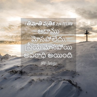 Picture 04 - 1 తిమోతి పత్రిక 2:14 TELIRV - ఆదాము మోసపోలేదు, - Bible Verse Picture