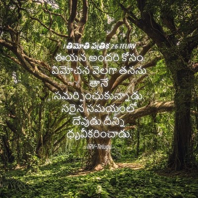Picture 04 - 1 తిమోతి పత్రిక 2:6 TELIRV - ఈయన అందరి కోసం - Bible Verse Picture