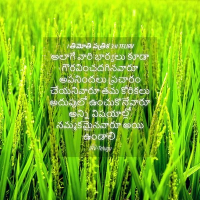 Picture 04 - 1 తిమోతి పత్రిక 3:11 TELIRV - అలాగే వారి - Bible Verse Picture