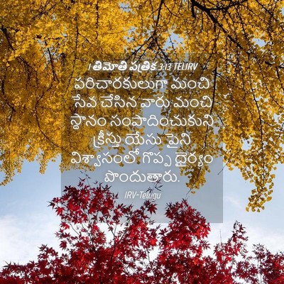 Picture 04 - 1 తిమోతి పత్రిక 3:13 TELIRV - పరిచారకులుగా మంచి - Bible Verse Picture