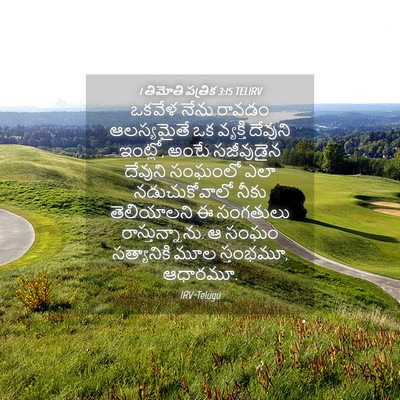 Picture 04 - 1 తిమోతి పత్రిక 3:15 TELIRV - ఒకవేళ నేను రావడం - Bible Verse Picture