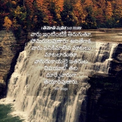 Picture 04 - 1 తిమోతి పత్రిక 5:13 TELIRV - వారు ఇంటింటికీ - Bible Verse Picture