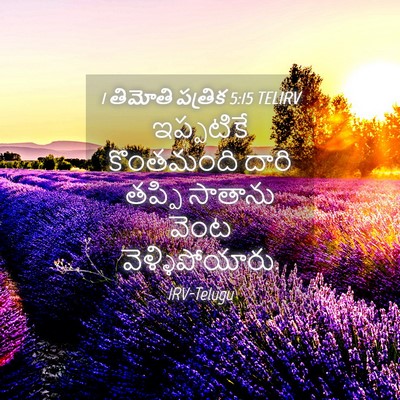 Picture 04 - 1 తిమోతి పత్రిక 5:15 TELIRV - ఇప్పటికే కొంతమంది - Bible Verse Picture