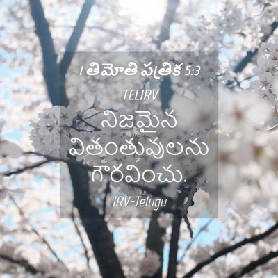 Picture 04 - 1 తిమోతి పత్రిక 5:3 TELIRV - నిజమైన - Bible Verse Picture