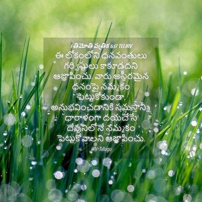 Picture 04 - 1 తిమోతి పత్రిక 6:17 TELIRV - ఈ లోకంలోని - Bible Verse Picture
