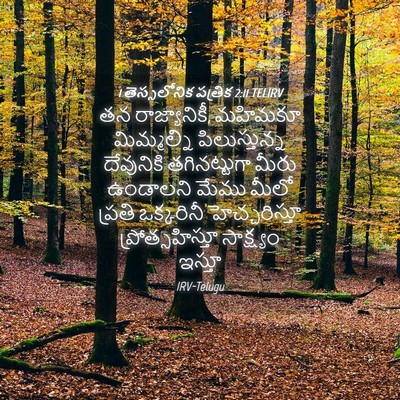Picture 04 - 1 తెస్సలోనిక పత్రిక 2:11 TELIRV - తన రాజ్యానికీ, - Bible Verse Picture