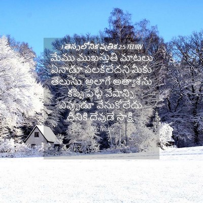 Picture 04 - 1 తెస్సలోనిక పత్రిక 2:5 TELIRV - మేము ముఖస్తుతి - Bible Verse Picture