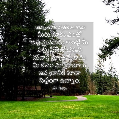 Picture 04 - 1 తెస్సలోనిక పత్రిక 2:8 TELIRV - మీరు మాకు ఎంతో - Bible Verse Picture
