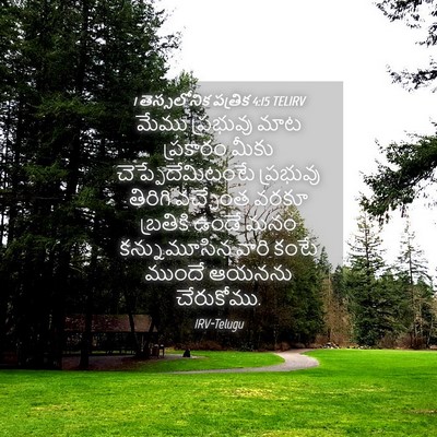 Picture 04 - 1 తెస్సలోనిక పత్రిక 4:15 TELIRV - మేము ప్రభువు మాట - Bible Verse Picture