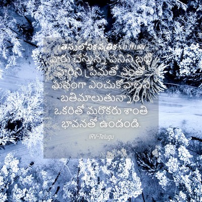 Picture 04 - 1 తెస్సలోనిక పత్రిక 5:13 TELIRV - వారు చేస్తున్న - Bible Verse Picture