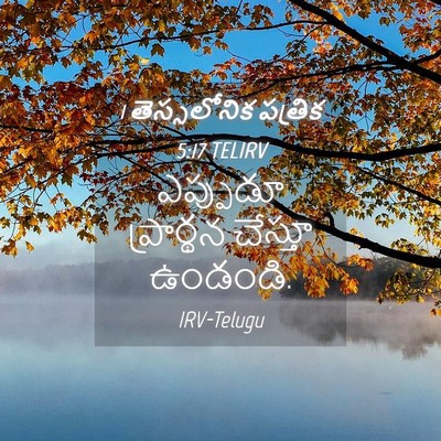 Picture 04 - 1 తెస్సలోనిక పత్రిక 5:17 TELIRV - ఎప్పుడూ ప్రార్థన - Bible Verse Picture