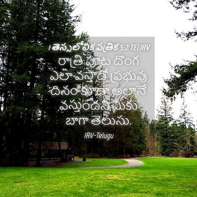 Picture 04 - 1 తెస్సలోనిక పత్రిక 5:2 TELIRV - రాత్రి పూట దొంగ - Bible Verse Picture