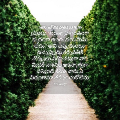 Picture 04 - 1 తెస్సలోనిక పత్రిక 5:3 TELIRV - ప్రజలు “అంతా - Bible Verse Picture