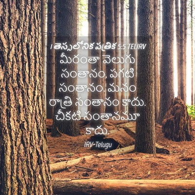 Picture 04 - 1 తెస్సలోనిక పత్రిక 5:5 TELIRV - మీరంతా వెలుగు - Bible Verse Picture