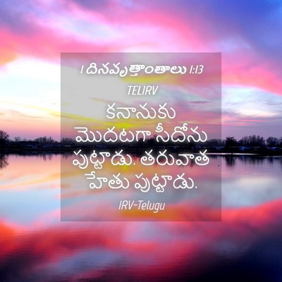 Picture 04 - 1 దినవృత్తాంతాలు 1:13 TELIRV - కనానుకు మొదటగా - Bible Verse Picture