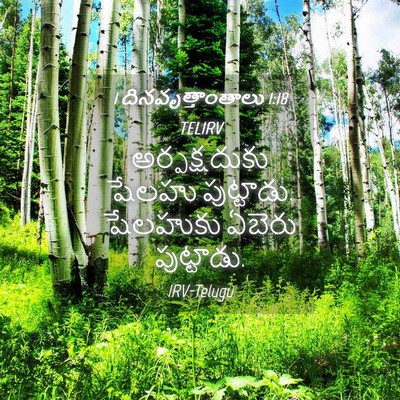 Picture 04 - 1 దినవృత్తాంతాలు 1:18 TELIRV - అర్పక్షదుకు షేలహు - Bible Verse Picture