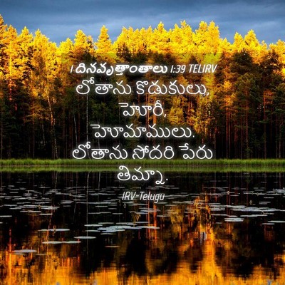 Picture 04 - 1 దినవృత్తాంతాలు 1:39 TELIRV - లోతాను కొడుకులు, - Bible Verse Picture