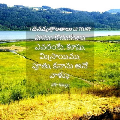 Picture 04 - 1 దినవృత్తాంతాలు 1:8 TELIRV - హాము కొడుకులు - Bible Verse Picture
