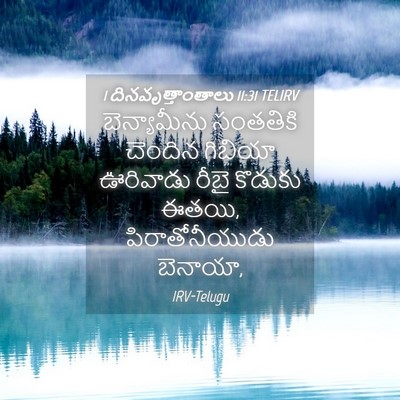 Picture 04 - 1 దినవృత్తాంతాలు 11:31 TELIRV - బెన్యామీను - Bible Verse Picture