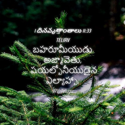 Picture 04 - 1 దినవృత్తాంతాలు 11:33 TELIRV - బహరూమీయుడు - Bible Verse Picture