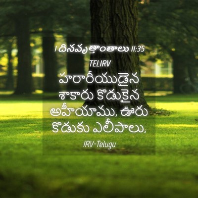 Picture 04 - 1 దినవృత్తాంతాలు 11:35 TELIRV - హరారీయుడైన శాకారు - Bible Verse Picture