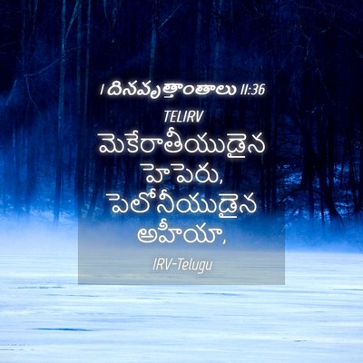 Picture 04 - 1 దినవృత్తాంతాలు 11:36 TELIRV - మెకేరాతీయుడైన - Bible Verse Picture