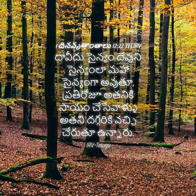 Picture 04 - 1 దినవృత్తాంతాలు 12:22 TELIRV - దావీదు సైన్యం - Bible Verse Picture