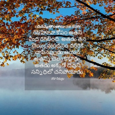 Picture 04 - 1 దినవృత్తాంతాలు 13:10 TELIRV - యెహోవా కోపం అతని - Bible Verse Picture