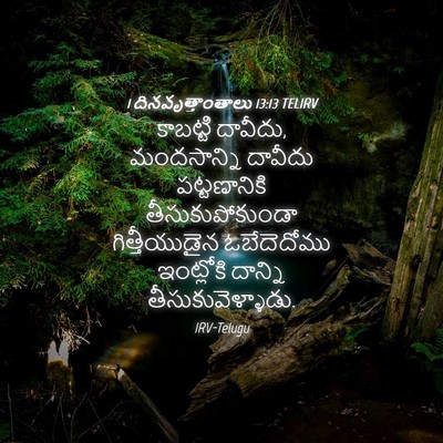 Picture 04 - 1 దినవృత్తాంతాలు 13:13 TELIRV - కాబట్టి దావీదు, - Bible Verse Picture