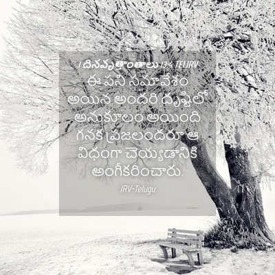 Picture 04 - 1 దినవృత్తాంతాలు 13:4 TELIRV - ఈ పని సమావేశం అయిన - Bible Verse Picture