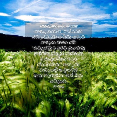 Picture 04 - 1 దినవృత్తాంతాలు 14:11 TELIRV - వాళ్ళు - Bible Verse Picture