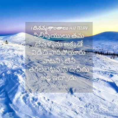 Picture 04 - 1 దినవృత్తాంతాలు 14:12 TELIRV - ఫిలిష్తీయులు తమ - Bible Verse Picture